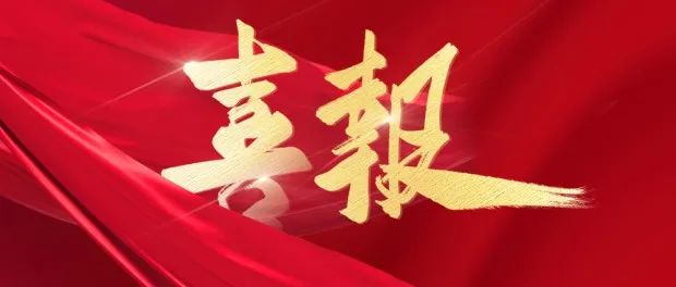 捷报频传｜米兰中国官方网连续中标大型企业集团司库项目