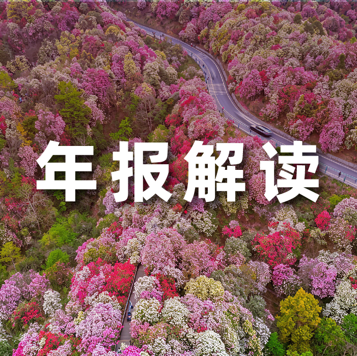 米兰中国官方网2025营收利润双增，全栈智能驱动增长，AI相关业务收入占比达52.6%   